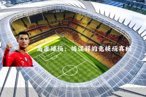 高原球场:被误解的竞技场真相